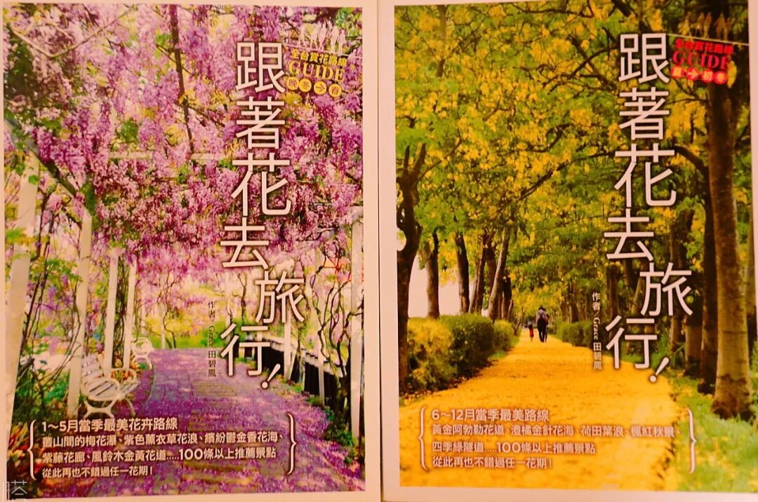 Colorful blossoms from a Taiwan flower garden tour