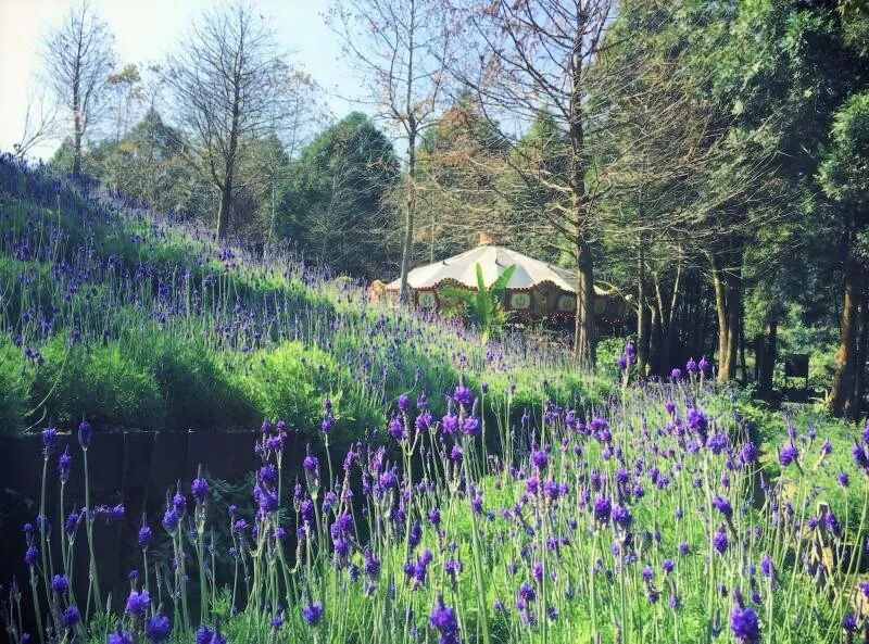 Charming entrance to Lavender Cottage, Xinshe