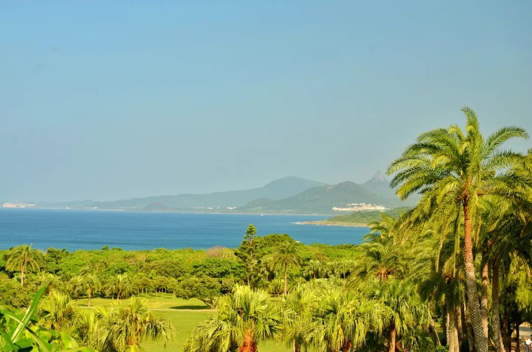 Lush green lawn and palm trees within Eluanbi Park, offering a peaceful atmosphere