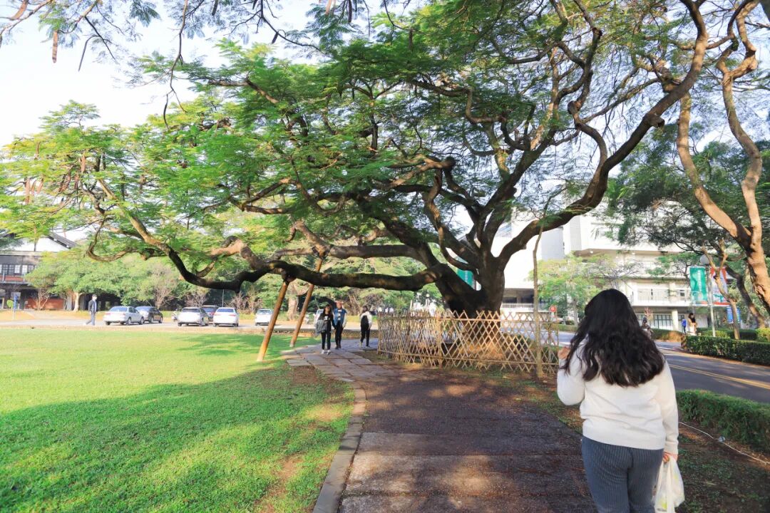 Luce Memorial Chapel: I.M. Pei's Masterpiece at Tunghai The iconic Luce Memorial Chapel, an architectural gem by I.M. Pei, standing proudly on Tunghai University campus.