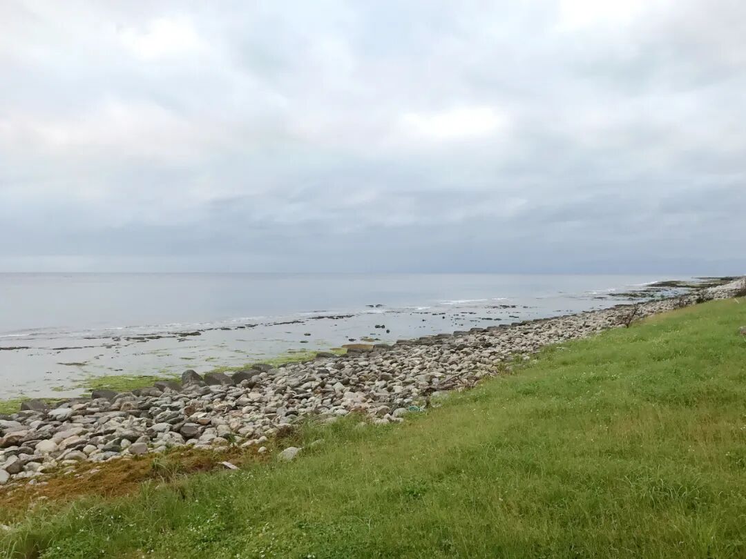 Seaside view on Green Island, showing clear blue waters and rocky shore.