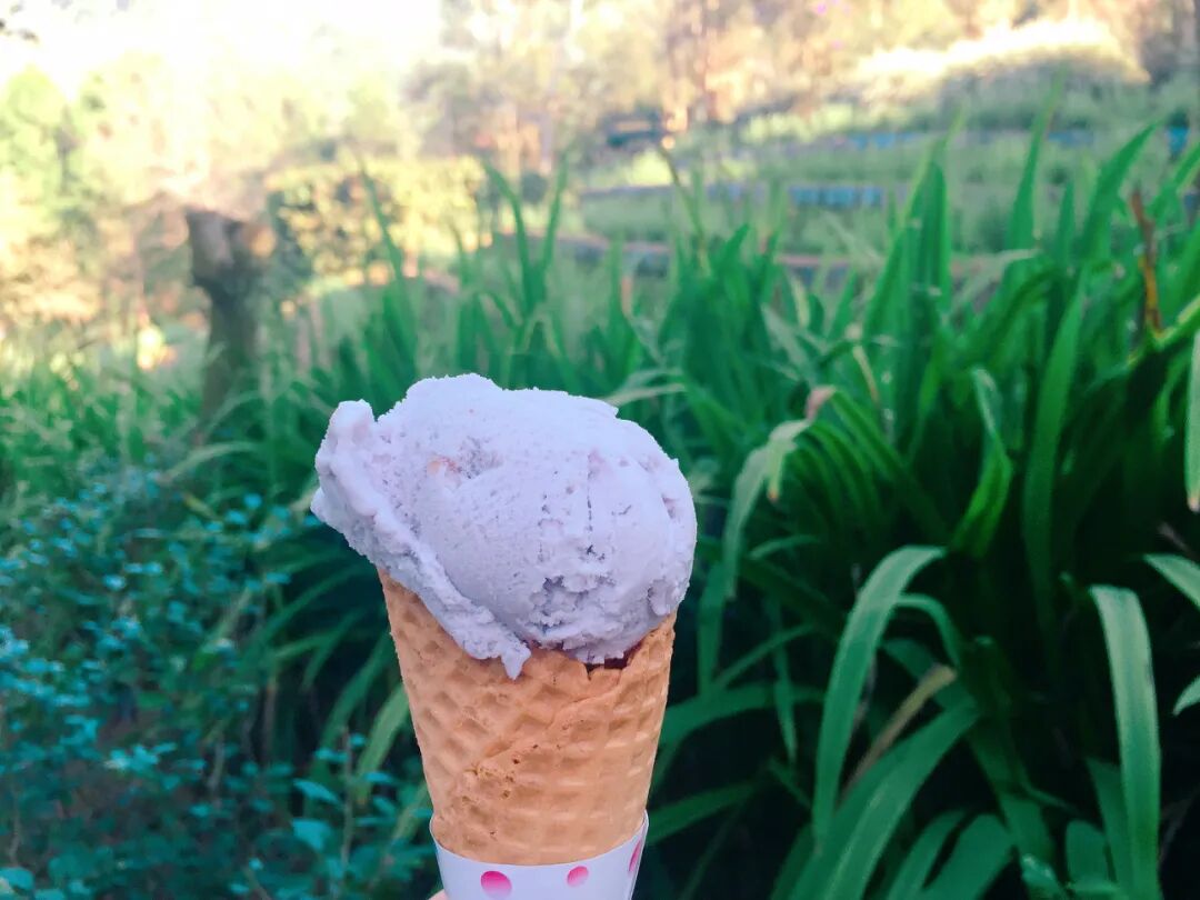 Charming and peaceful setting of Lavender Cottage