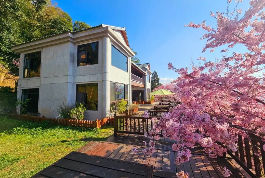 Lalashan Cherry Blossom Road