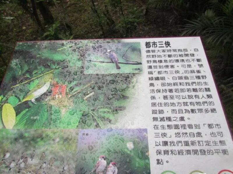 Insect and bird sculptures in ecological garden