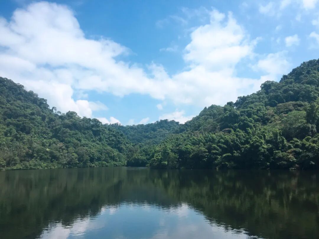 A panoramic view of Front Cihu lake, showcasing its calm waters and the stunning reflections of the surrounding natural landscape.