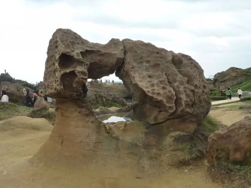 King Kong Stone transforming into kissing dogs