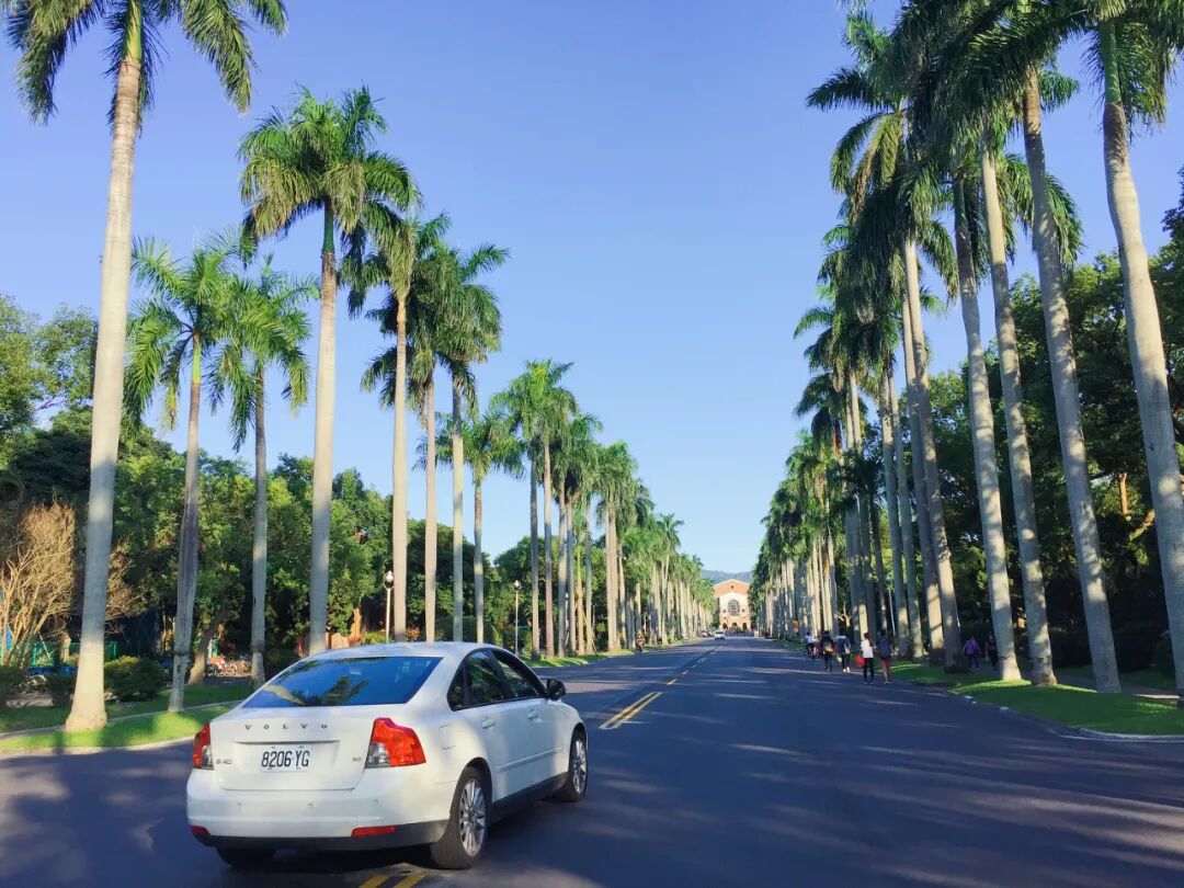 Sweeping view of NTU's vibrant Palm Boulevard, bustling with students.
