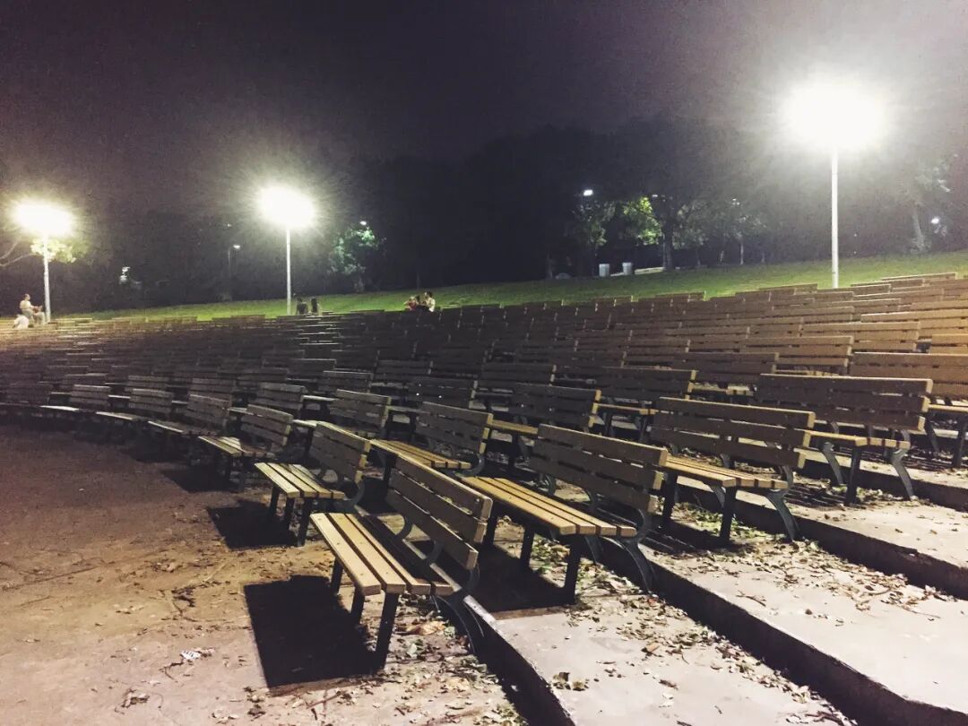 Daan Forest Park at night, with city lights