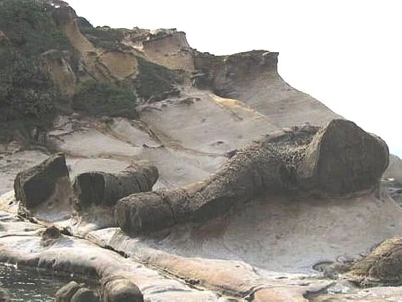 Ginger stone resembling a chicken leg