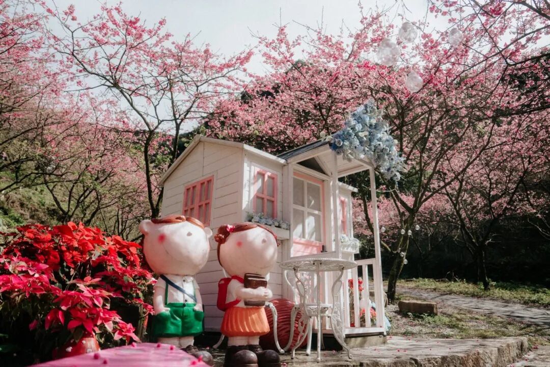 Sanxia Cherry Blossom Trail