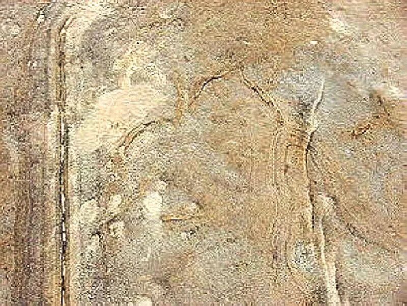 Seaweed traces and escape structures in rock