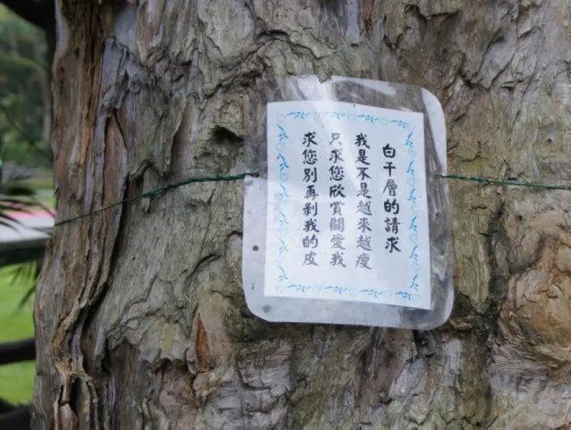 Sign asking visitors not to peel tree bark