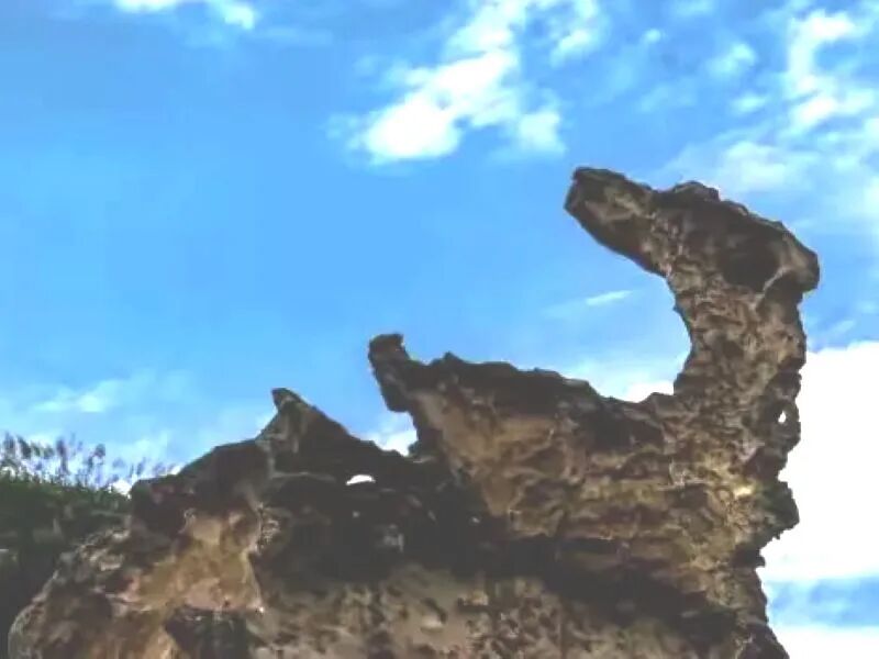 Marline Bird Stone in Yehliu Geopark Area 3