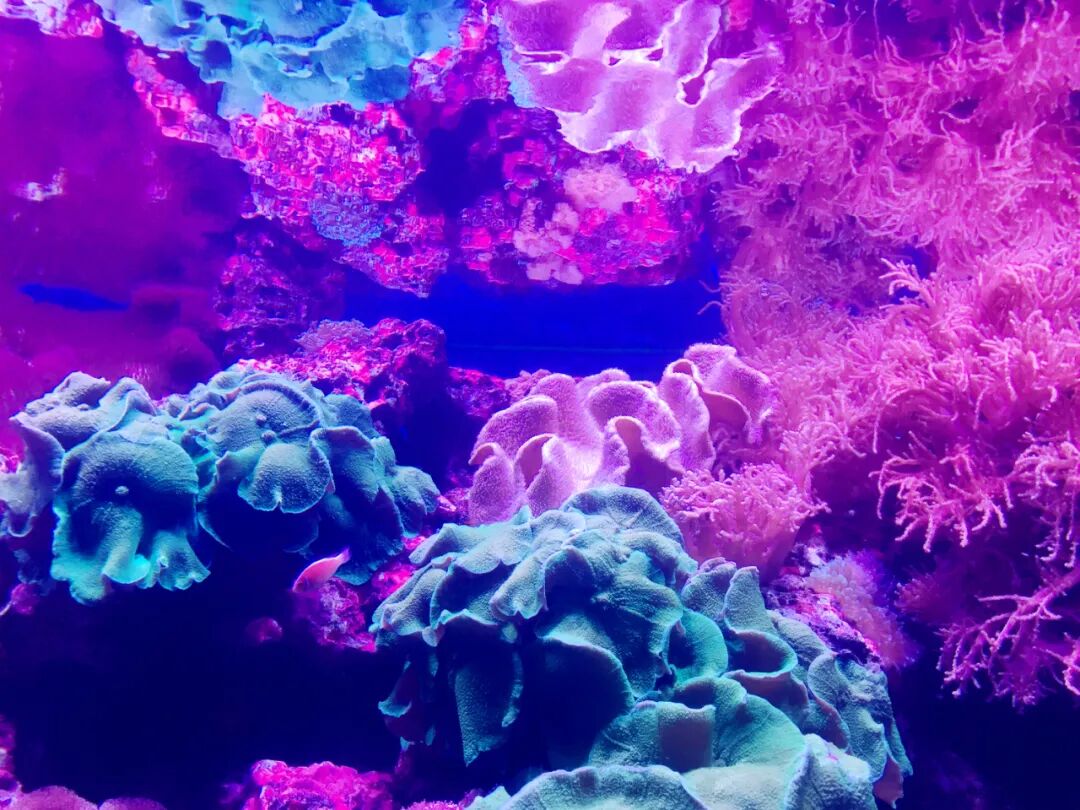 Entrance to the National Museum of Marine Biology and Aquarium in Kenting