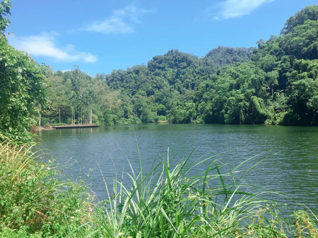 A close-up of Back Cihu's peaceful waters, showing clear reflections of trees and blue skies.