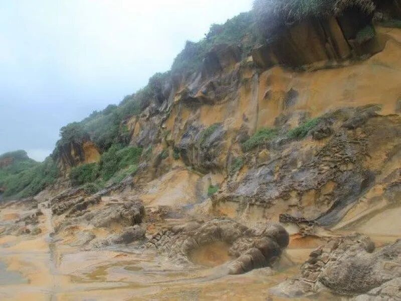 Sea-eroded cliff with a concave notch