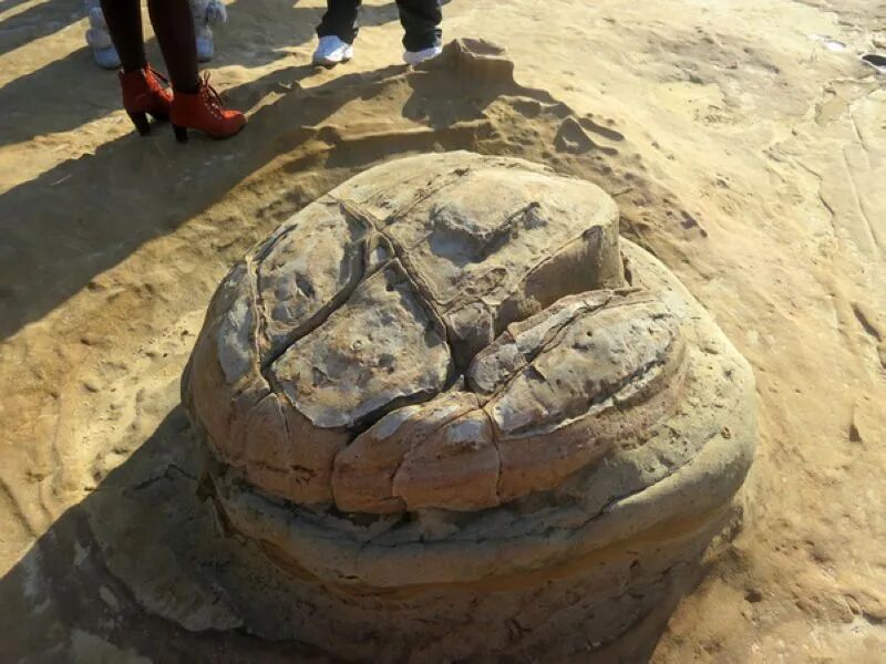 Pineapple Bread rock formation