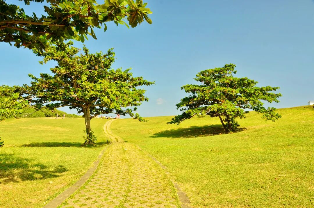 A breathtaking panoramic view of the ocean from Eluanbi Park, with rugged cliffs