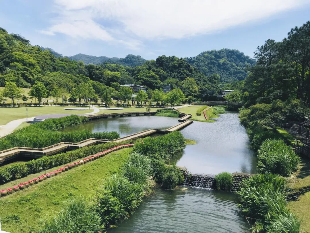 A diverse collection of Chiang Kai-shek statues displayed in various poses within the scenic Cihu Statue Park.