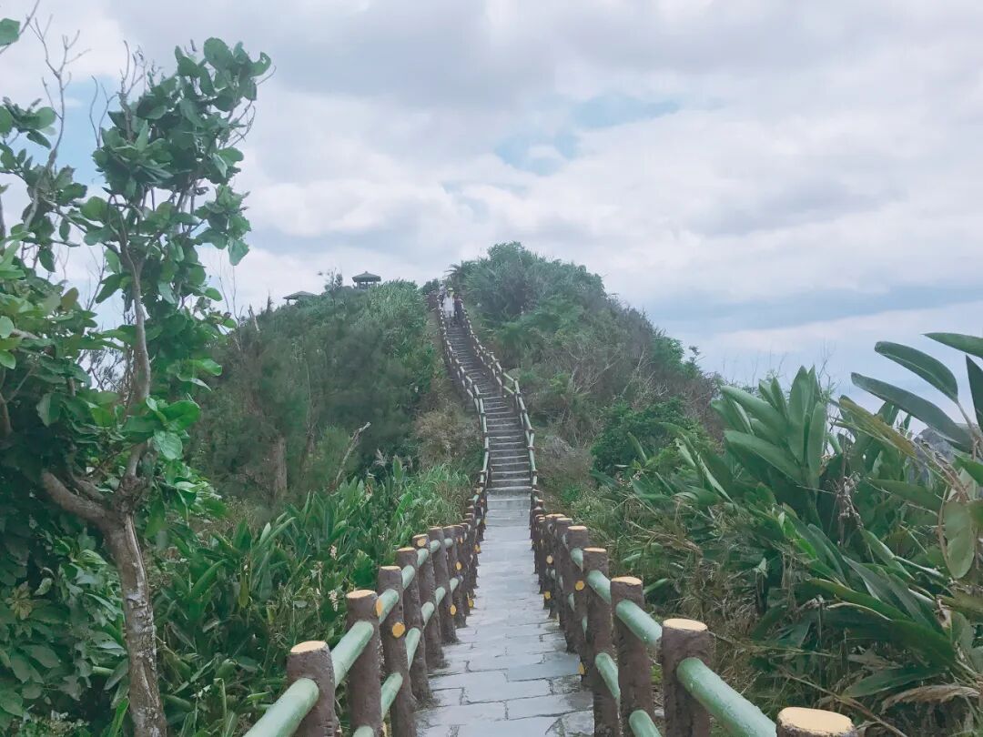 The 'Pekingese' rock formation on Green Island, resembling a loyal dog.