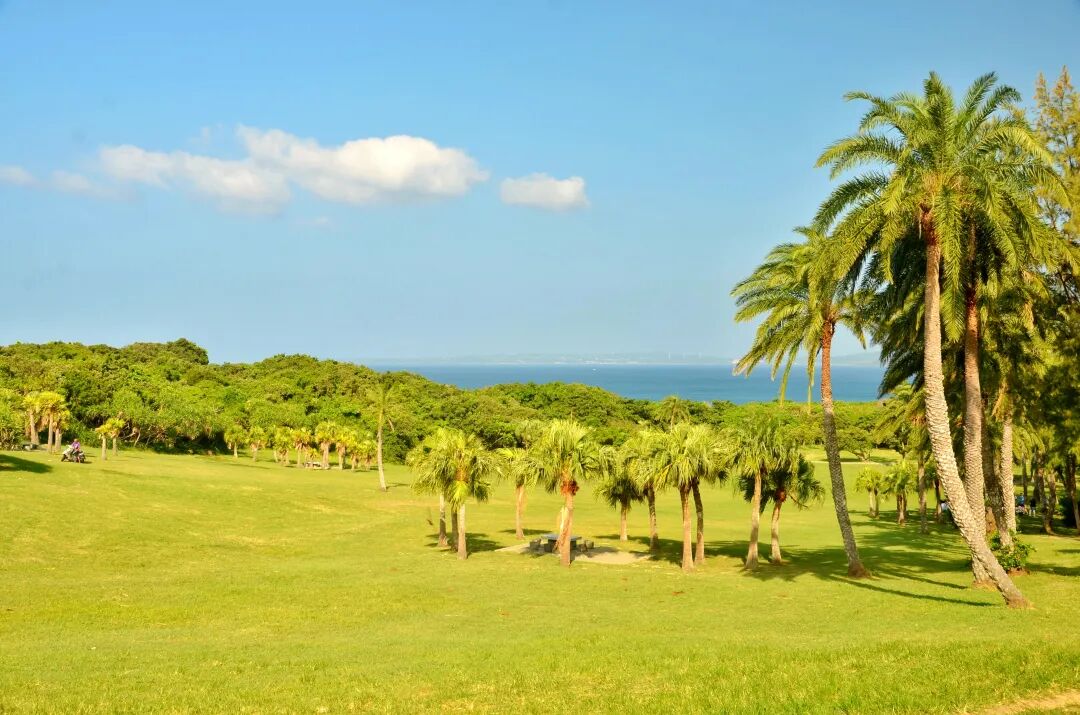 Expansive green lawn inside Eluanbi Park, perfect for a leisurely stroll