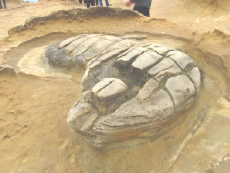 Roasted Chicken Leg rock formation