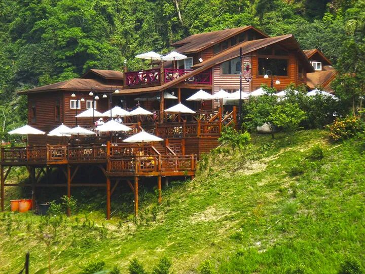 Princess Annie's Garden fairytale setting