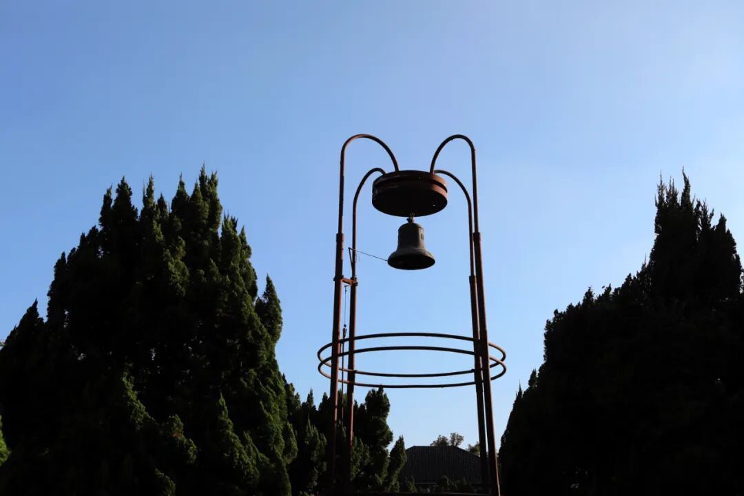 Classic campus architecture visible along NTU's Palm Boulevard.