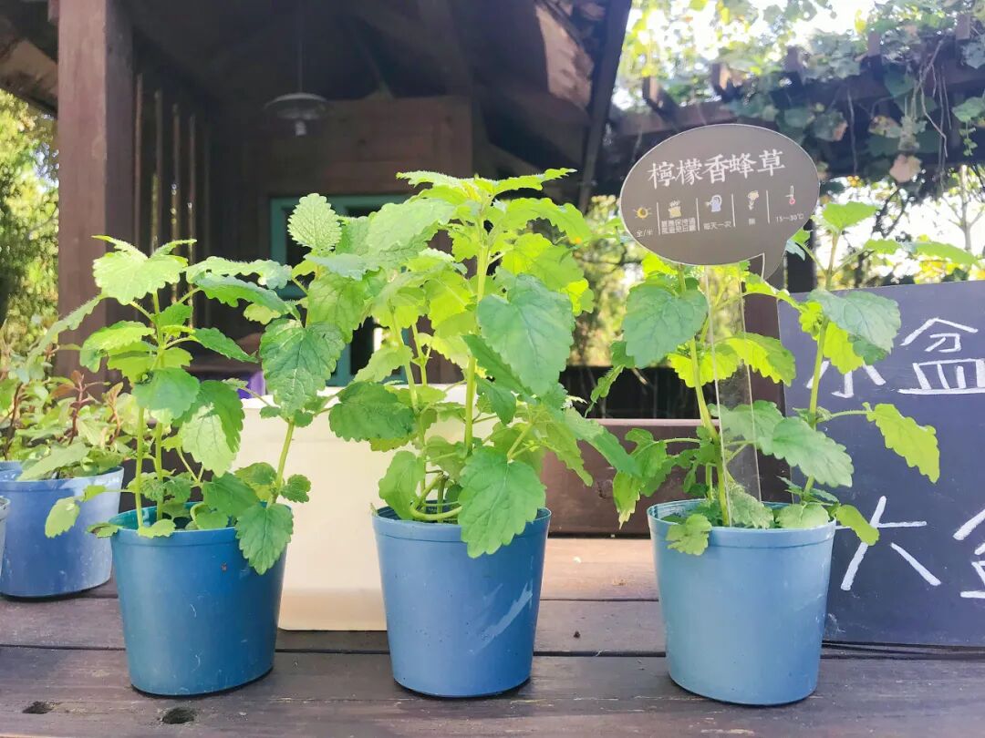 Serene and scenic view of Mingde Reservoir