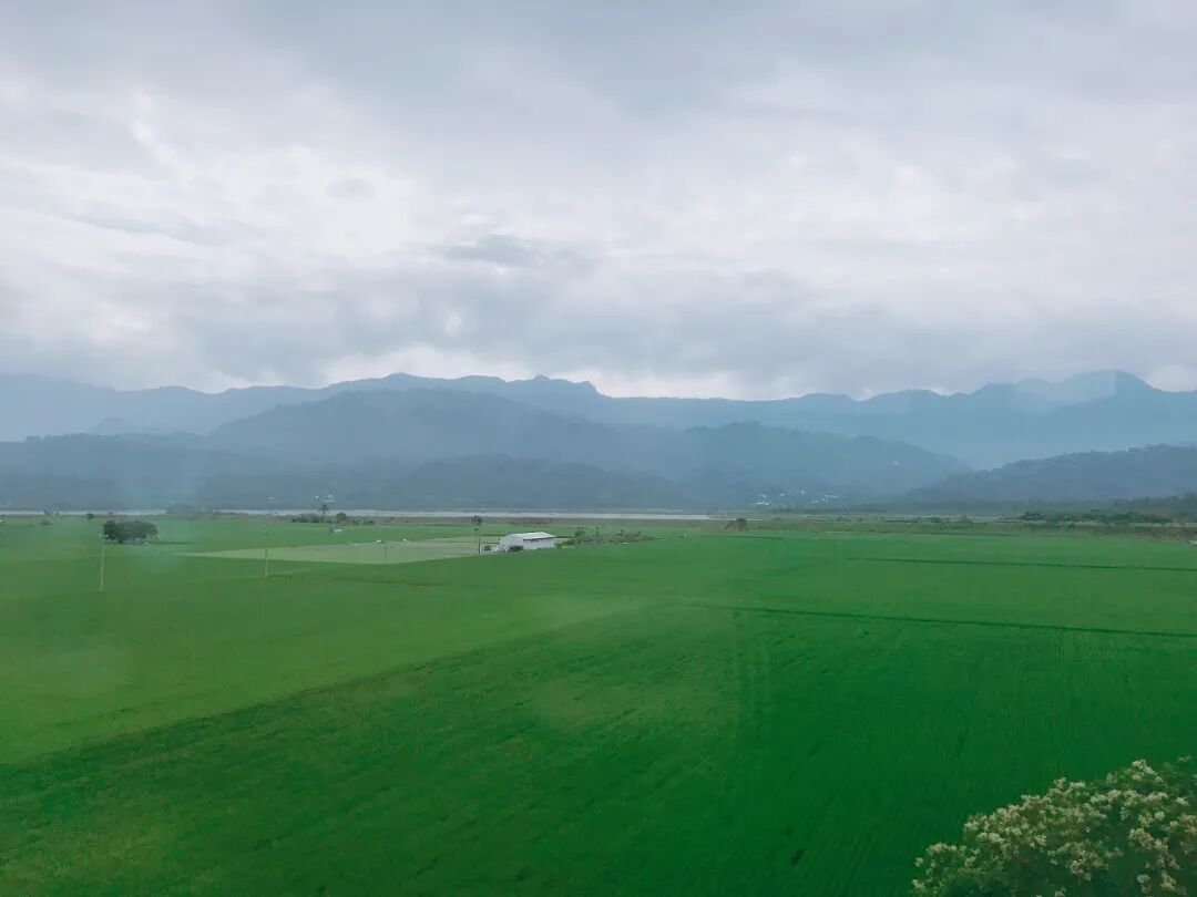 Lush green Central Mountain Range of Taiwan, seen from a train window.