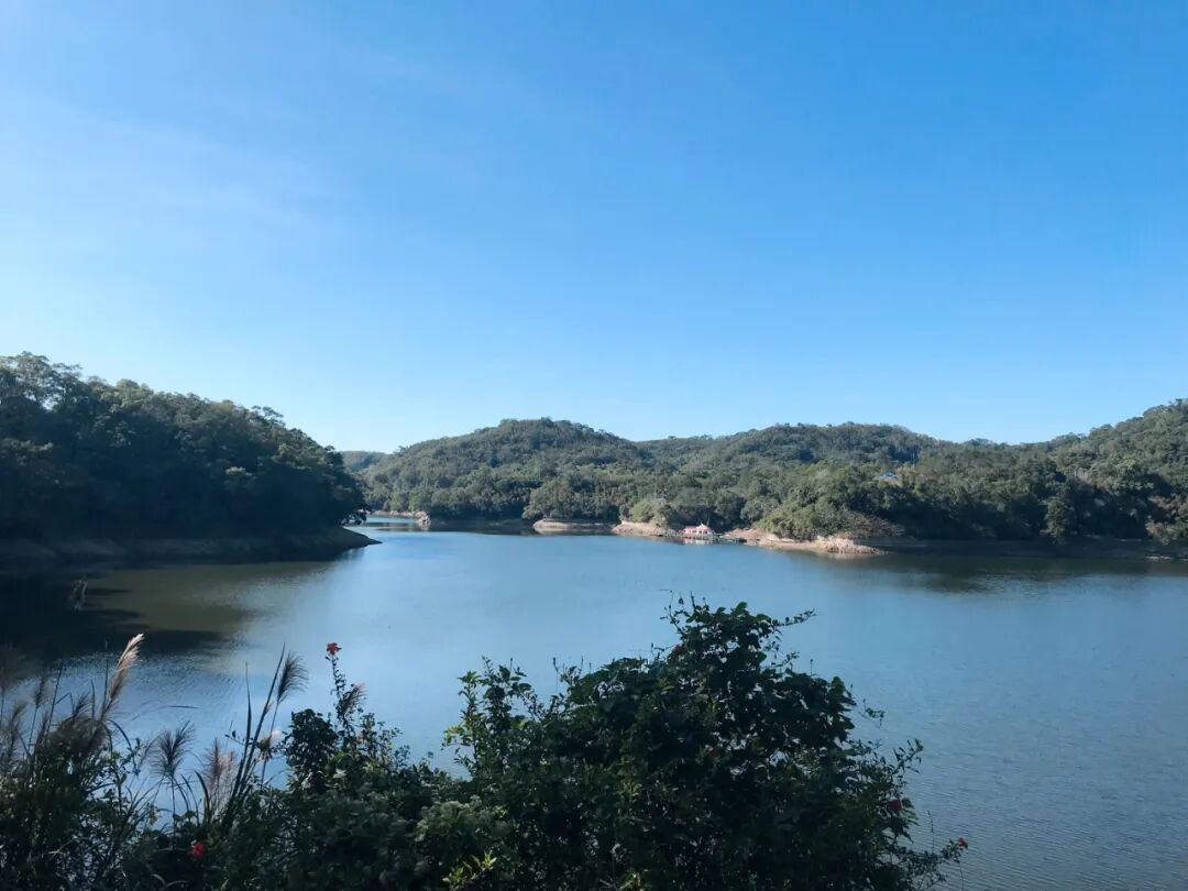 Delicious lavender-flavored ice cream cone