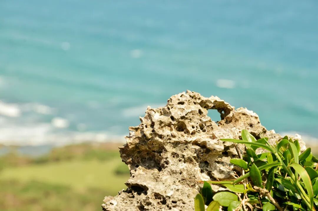 Rugged, weathered rock formations at Longpan Park, shaped by natural erosion