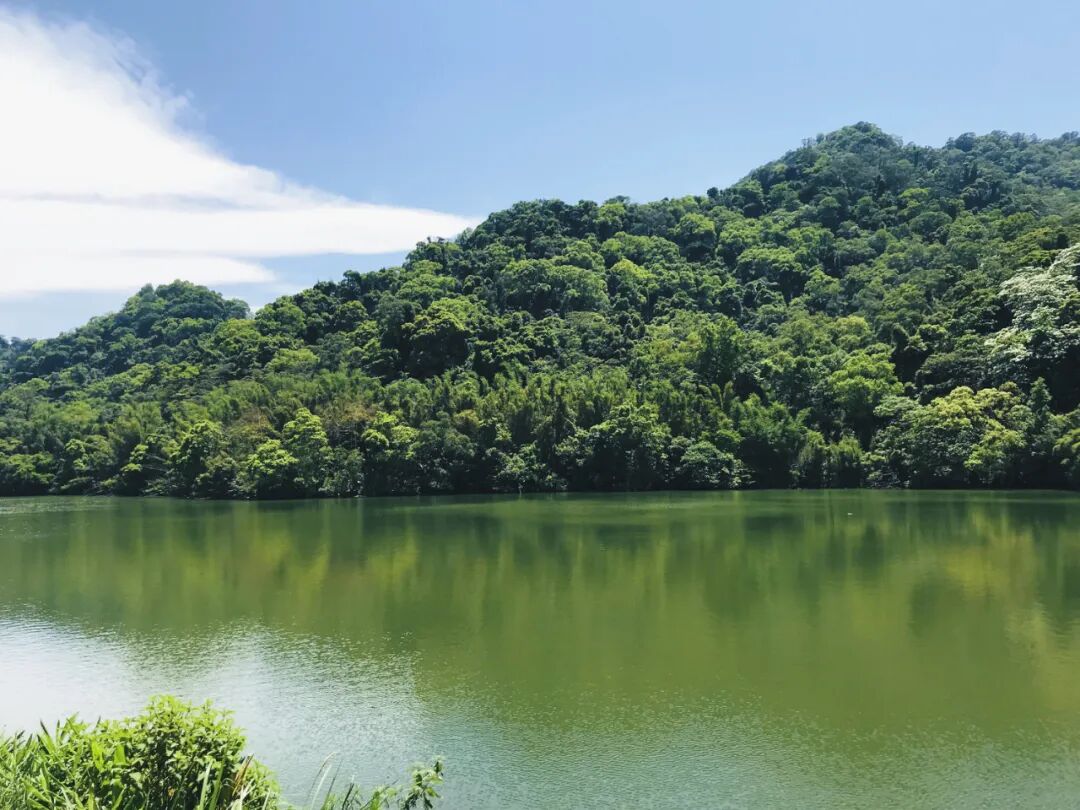 Statues of Chiang Kai-shek are artfully placed along the banks of Front Cihu, enhancing the historical and scenic blend.