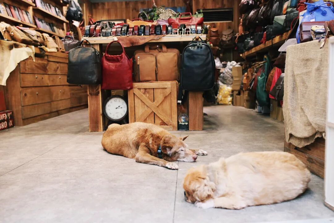 Iconic Jiufen lanterns. Beautiful red lanterns decorating Jiufen's alleys.