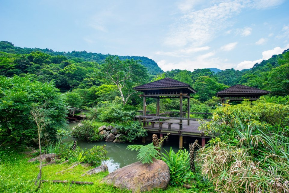 Scenic Caoling Historic Trail silvergrass landscapes