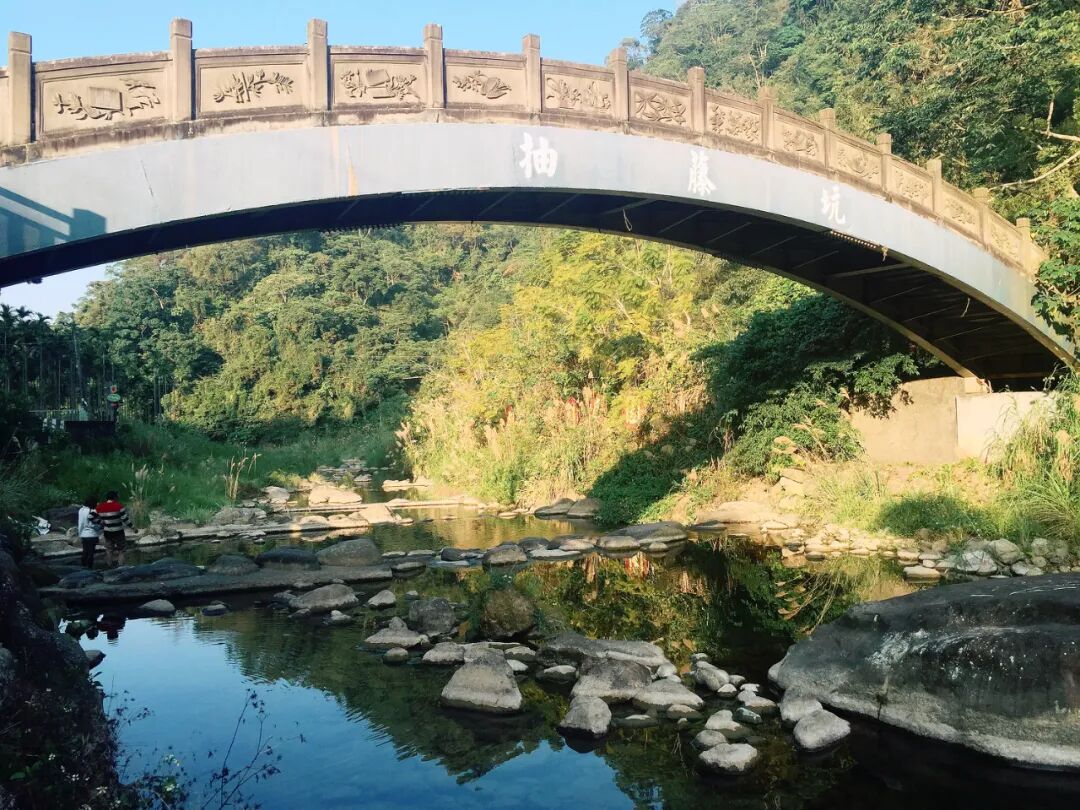 Peaceful scene of feeding fish by the river
