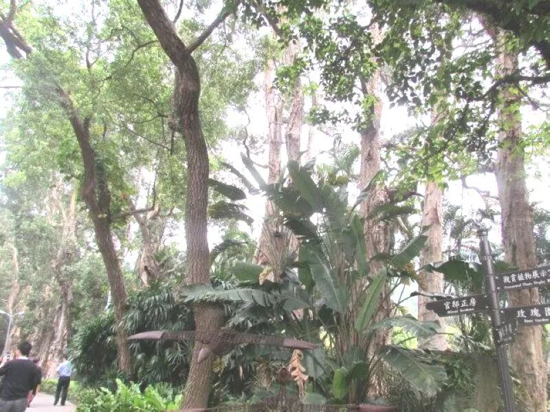 Path within Shilin Official Residence