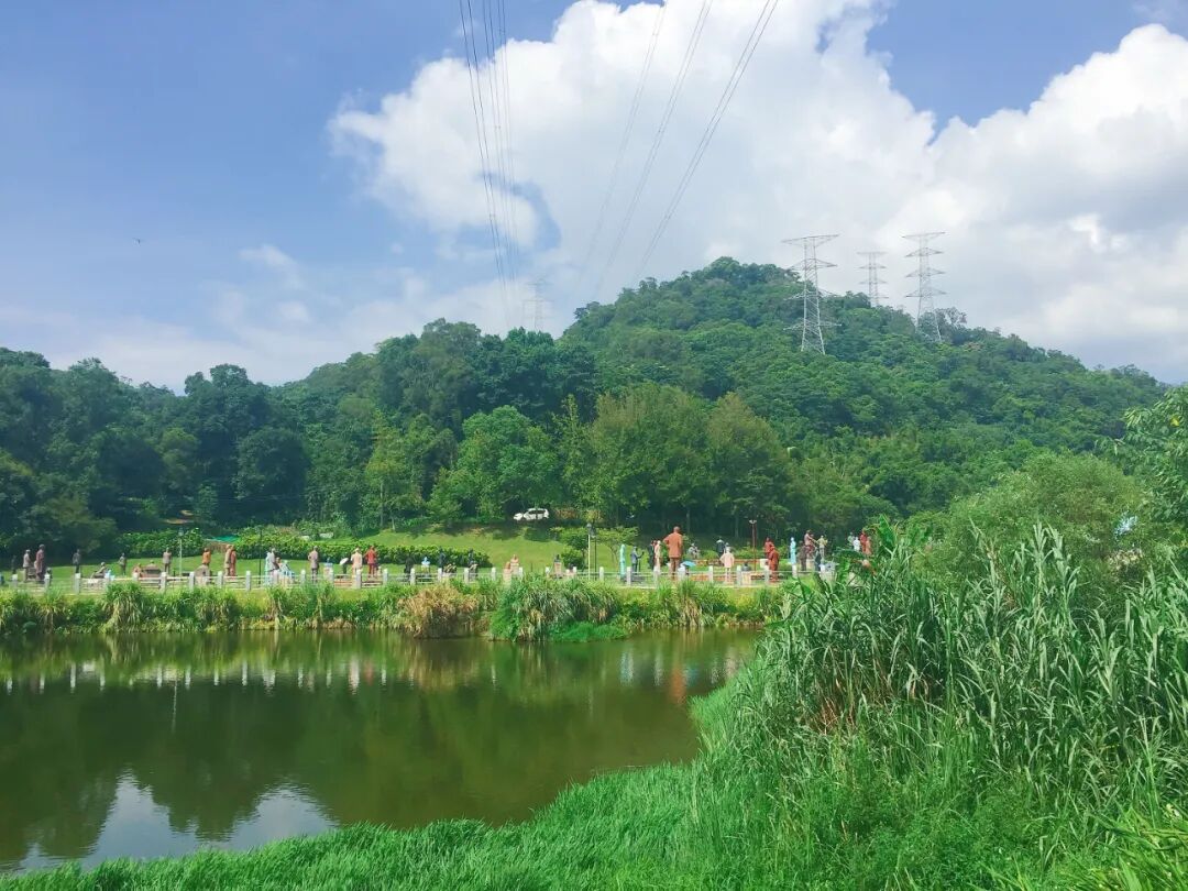 A striking lineup of various Chiang Kai-shek statues, highlighting the rich diversity within the Cihu Sculpture Park.