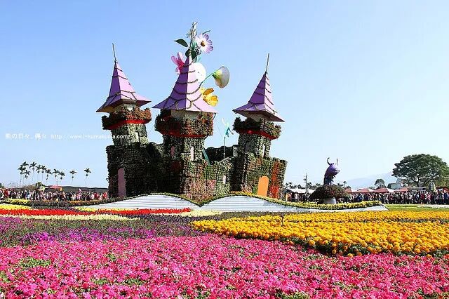 Xinshe Sea of Flowers festival