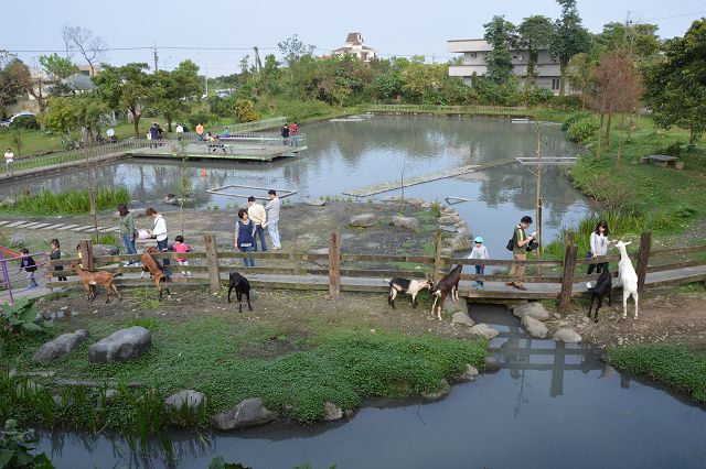 Creamy goat milk soft serve ice cream cone