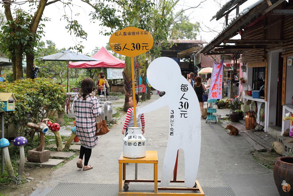 Friendly goats roaming freely at Yilan Ranch