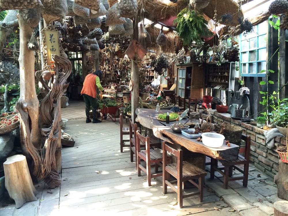 Lush green pathway inside Chian-Chi Seed Museum garden