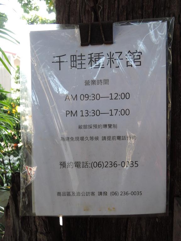 Close-up of unique plant leaves and foliage